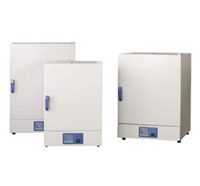 DHG9031A自然對流烘箱